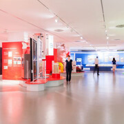 Our Changing Home: 200 Years of the Salzburg Habitat. Courtesy of Haus der Natur