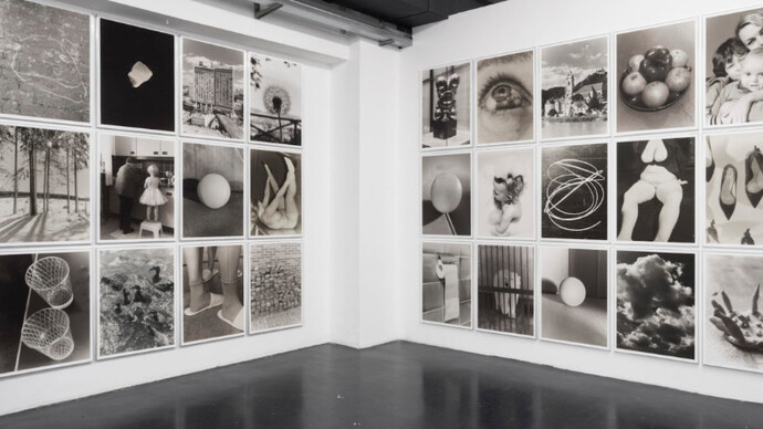 Eggs and rarities. Courtesy of Otto Zoo