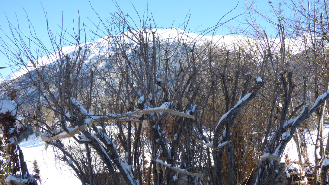 Protezione dalla neve