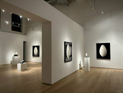 Nathalia Edenmont, Out of body, exhibition view. Courtesy of Nancy Hoffman Gallery