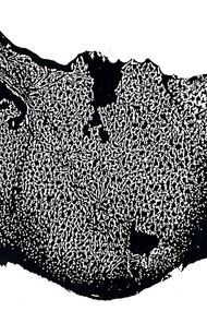 Le corps grotesque - 6. Gravure sur bois, 121x192 cm. 