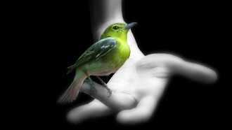 An unforgettable spirit