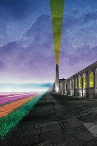 Flowers Festival