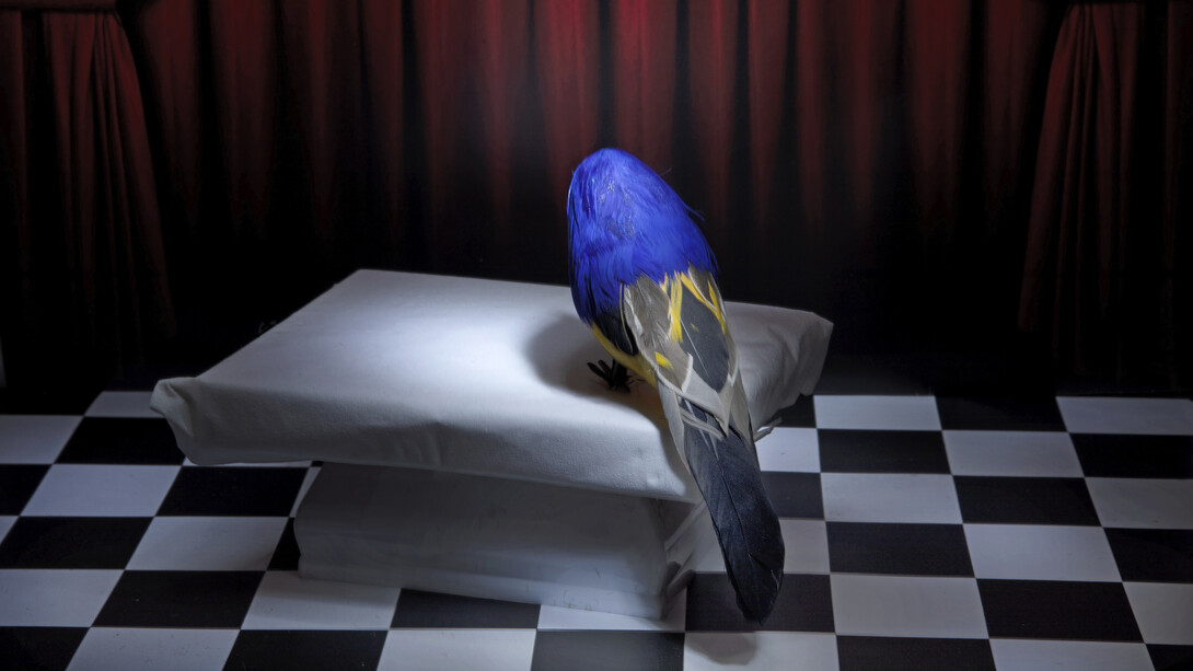 Debora Garritani, Inexplicabilis atrium #3, 2023. Courtesy of Mart
