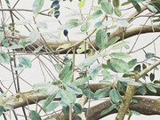 Resonating Spaces. Courtesy of Fondation Beyeler