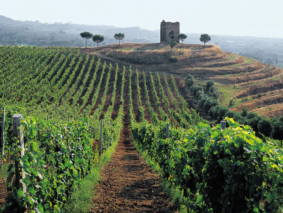 Tenuta Pallavicini, Frascati