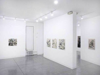 Shinpei Kusanagi, so far so close, Installation views