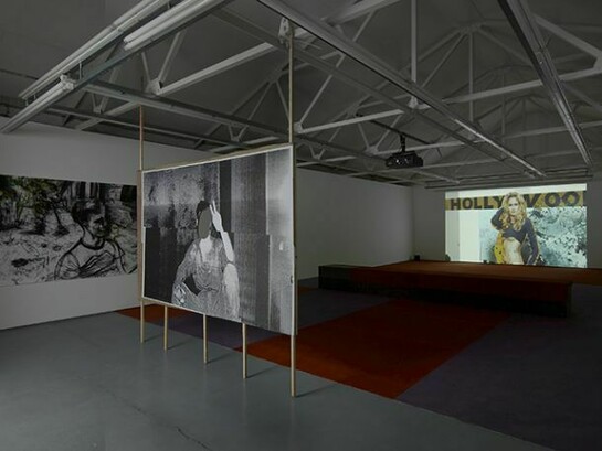 Erik van Lieshout , Private View , exhibition view, upstairs gallery , Maureen Paley, London , 2014, © the artist, courtesy Maureen Paley, London