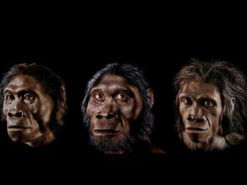 La psicologia evoluzionistica nacque negli Stati Uniti d'America e il suo punto di riferimento non fu il comportamento animale in generale, ma quello umano