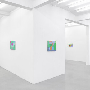 Federico Herrero, Caimitos, exhibition view. Courtesy of Sies + Höke Galerie