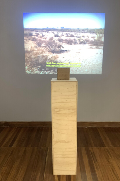 Miguel Fernández de Castro en colaboración con Natalia Mendoza y Ejido el Bajío; The Absolute Restoration of All  Things, 2022. Foto cortesía de la curadora Natalia de la Rosa