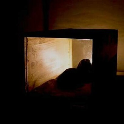 A obra de Rúben Gonçalves