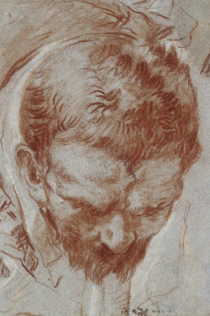 Giovanni Battista Tiepolo (1696‒1770), Head of a man foreshortened, Red and white chalk on blue paper, 26 x 18.2 cm © Ashmolean Museum, University of Oxford