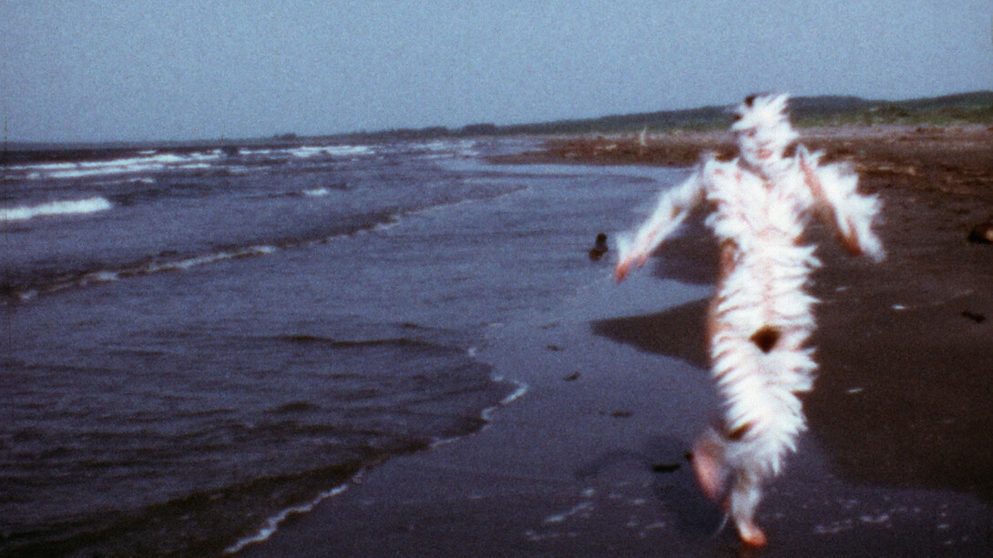 Ana Mendieta, Bird run (detail), 1974. Courtesy of Tate Modern
