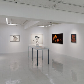 Nankoku Hidai and Shiryu Morita, exhibition view. Courtesy of Tokyo Gallery + BTAP 