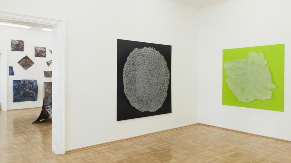 Daniel Knorr. Courtesy of Galerie nächst St. Stephan