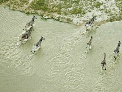 Zack Seckler, Kalahari Crossing 2009