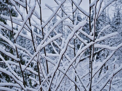 He did not understand the illness in full