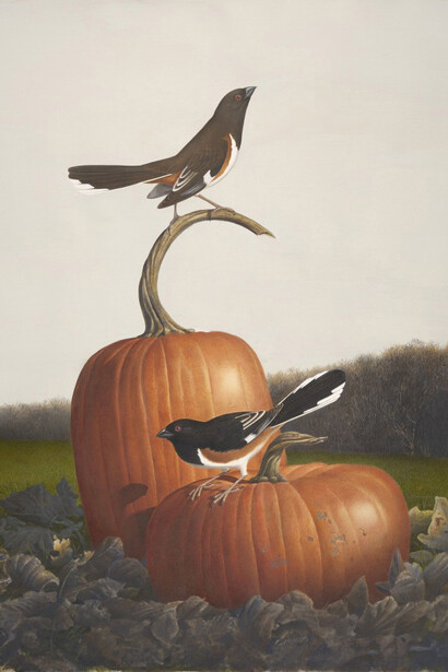 Rufous-sided Towhee
Scott Gentling (1942–2011)