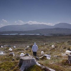 John Akomfrah. Purple. Courtesy of Museu Coleção Berardo