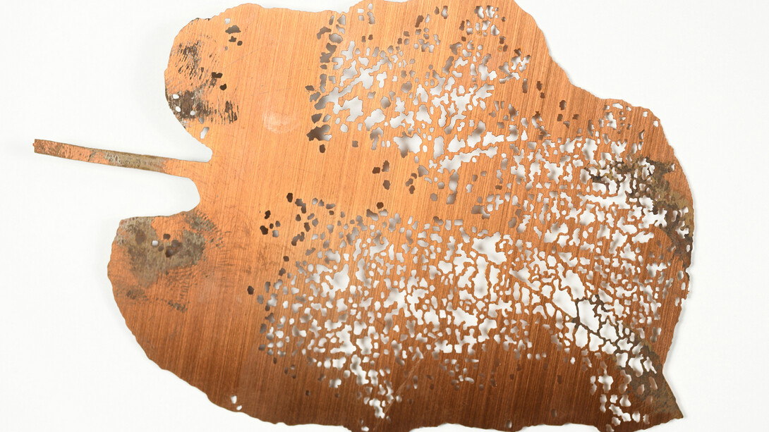 Shelagh  Wakely, cloud forest leaf, 2005, Etched copper, 12 x 8 cm © Shelagh Wakely. Courtesy Richard
Saltoun Gallery and Shapero Modern