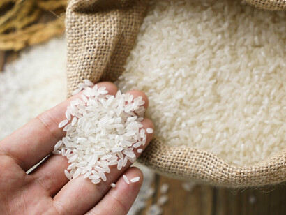 There are many types of rice