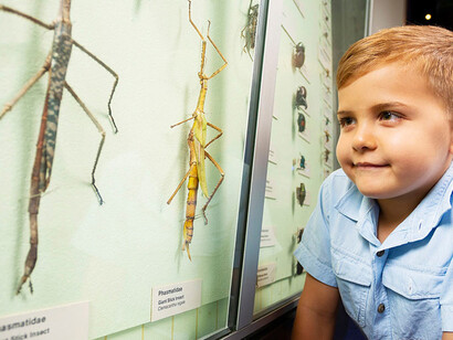 At home in the tropics, exhibition view. Courtesy of Queensland Museum Tropics