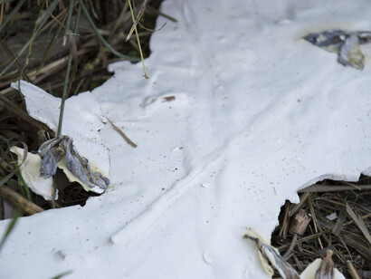 Costanza Battaglini - Lago di Santa Maria