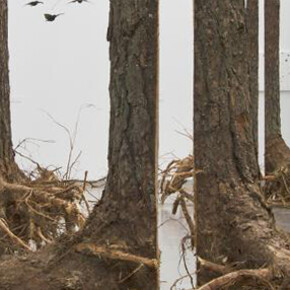 Henrik Håkansson. Courtesy of KODE