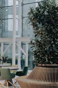 Modern office lobby with floor-to-ceiling windows, green chairs around round tables, and ribbed planters holding lush indoor plants. Bright and airy with a contemporary feel