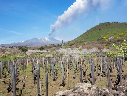 Vinyards in Sicily, Italy watch as Mount Etna  is on the precipice of erupting 