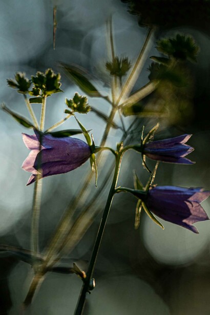 Remembering we are not in control, ph. M. Stillwater