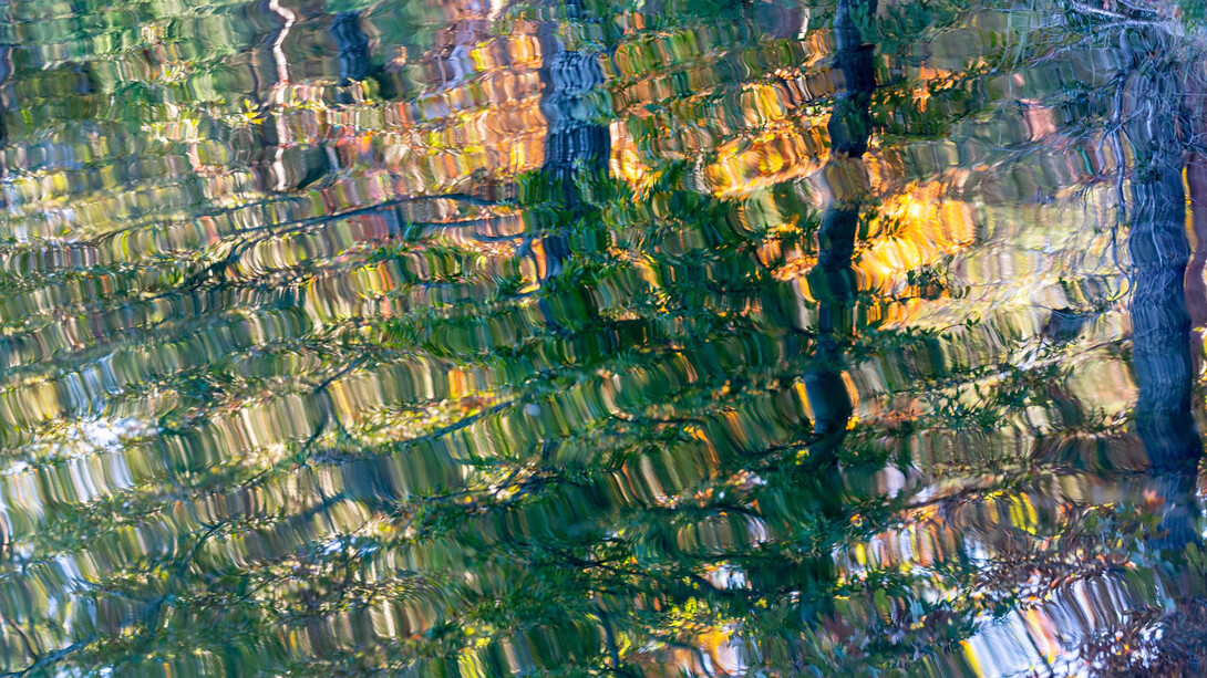 Thad Lee, Fall pool (1/7), 2024. Courtesy of Spalding Nix Fine Art