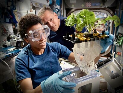 In questa immagine del 24 giugno 2022, gli astronauti della NASA Jessica Watkins e Bob Hines, parte dell'equipaggio SpaceX Crew-4 della NASA, lavorano all' indagine sulla botanica spaziale XROOTS.