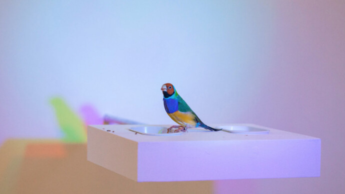 Zip'Up, Exhibition view. Courtesy of Zipper Galeria