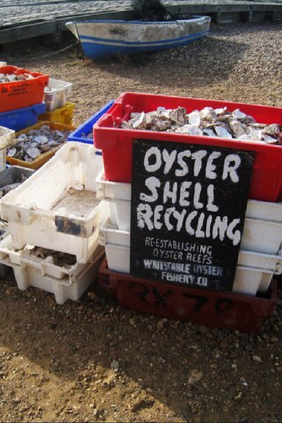 Oyster shell recycling bins displaying efforts to recycle and re-establish oyster reefs