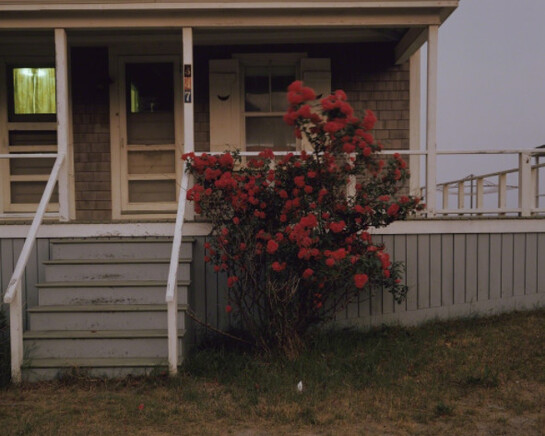 Joel Meyerowitz. Courtesy of Howard Greenberg Gallery