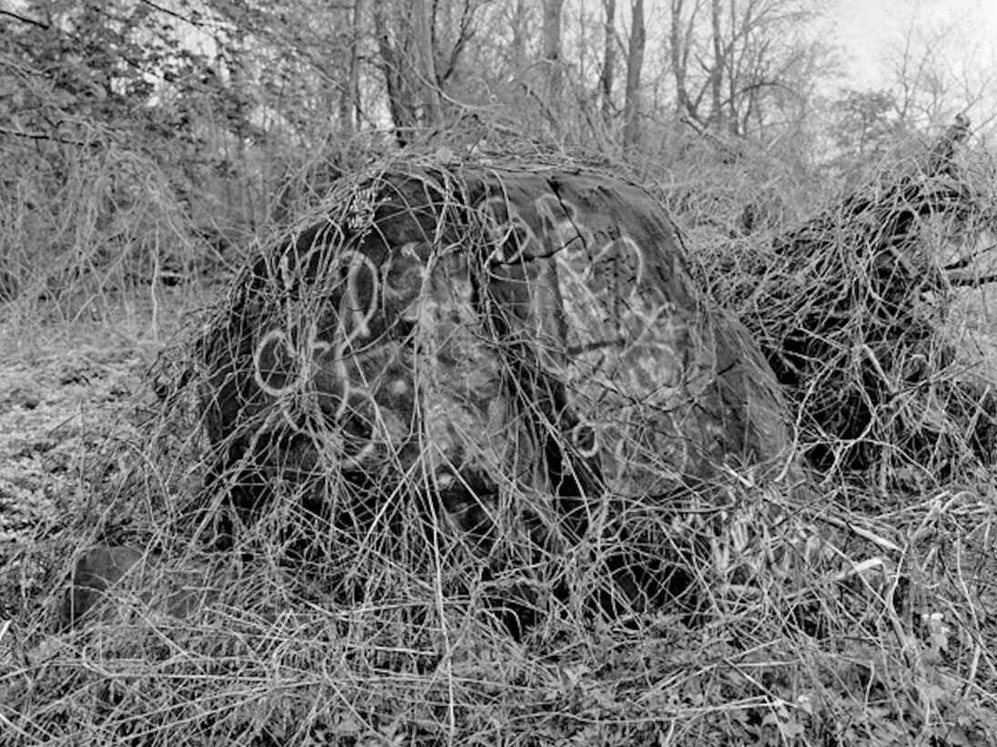 Mitch Epstein, Pelham Bay Park, Bronx, 2014. Courtesy of Galerie Les filles du calvaire