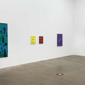 Installation view, EJ Hauser, Grow Room, 2024. Courtesy of Derek Eller Gallery