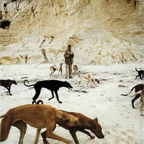 Daniel and the Hunting Dogs, 2012 Archival pigment print, 45 x 45cm, © Jason Larkin, courtesy of Flowers Gallery
