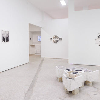 Alberto Checa, ConchaFlush, exhibition view. Courtesy of Emerson Dorsch Gallery