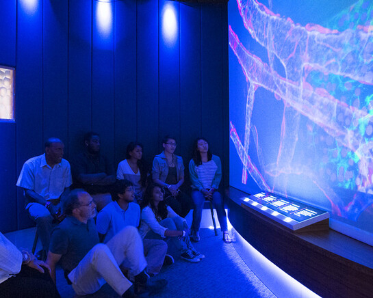 Hall of Human Life. Courtesy of Museum of Science 
