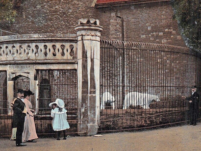 Polar bear house at the Bristol Zoo. Founded in 1835, the Bristol Zoo and England Zoological Society set out to facilitate “the observation of habits, form and structure of the animal kingdom, as well as affording rational amusement and recreation to the visitors of the neighbourhood.” (Courtesy of Bristol Zoo)
