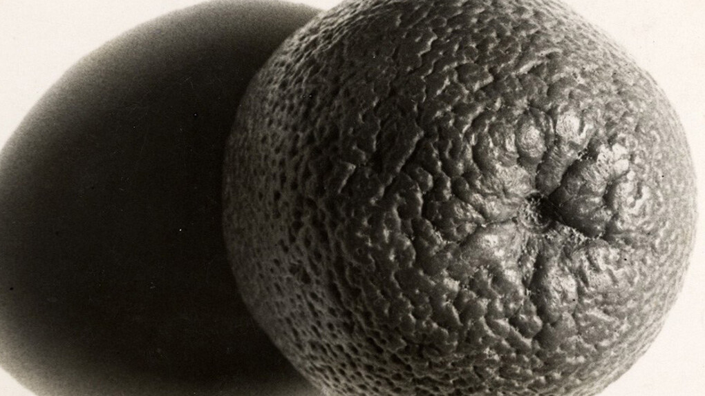 Elfriede Stegemeyer. Courtesy of Galerie Julian Sander