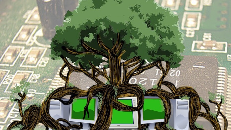 Cuidando la naturaleza desde el ordenador