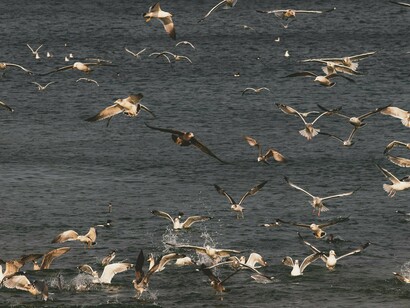  Não é o passado o antes, nem o futuro, o depois, que nos define, transforma ou contingencia quando se trata  de estar presente, estar inteiro no que acontece