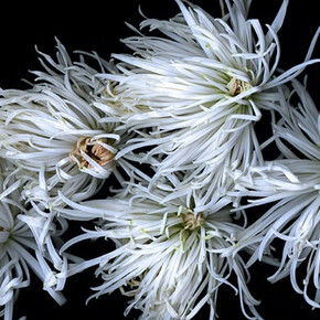 Katinka Matson. Courtesy of Eric Buterbaugh