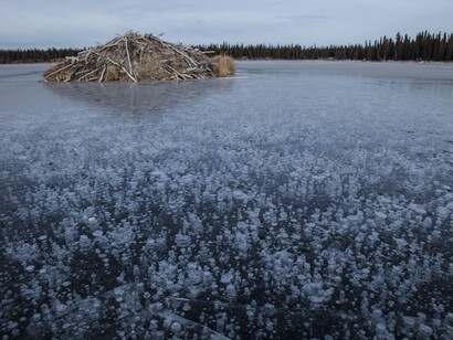 Mark ThiessenN/National Geographic
Fairbanks, Alaska
Il ghiaccio sulla superficie di un lago in Alaska blocca il metano che emerge dal fondale
fangoso.
