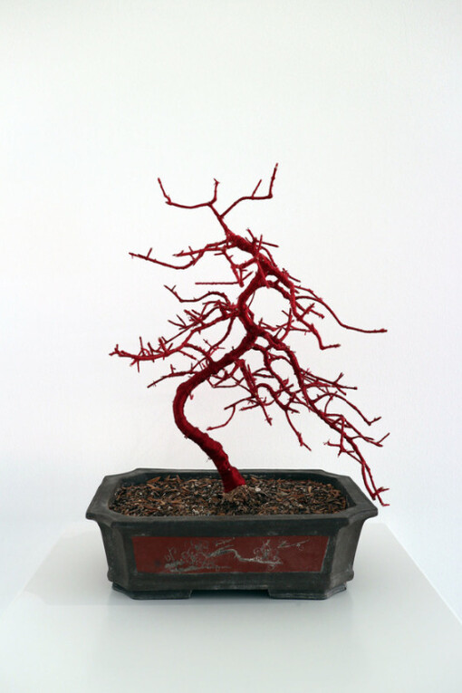 The Clearing. Courtesy of Bo.Lee Gallery