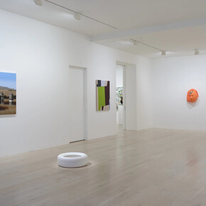 Present tense, exhibition view. Courtesy of Gow Langsford Gallery